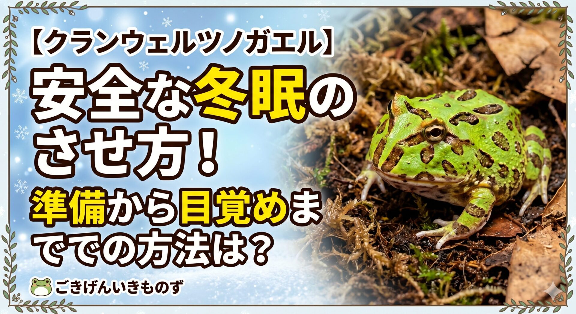 ツノガエル　冬眠